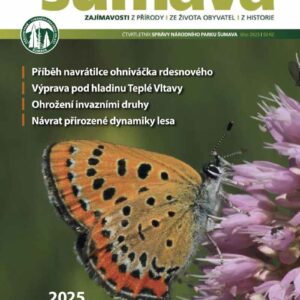 Obálka časopisu Šumava léto 2025. Motýl ohniváček rdesnový sedí na květu rdesna hadího.