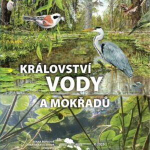 Ilustrovaná obálka knihy „Království vody a mokřadů“ se scénou lesního mokřadu s volavkou popelavou a moudivláčkem lužním sedícím na větvi nad tůní, doplněná o vážku a další vodní vegetaci, v dolní části s podvodním pohledem na listy leknínů a logem Národního parku Šumava uprostřed.